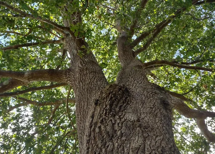 Hotell Rural Natxiondo